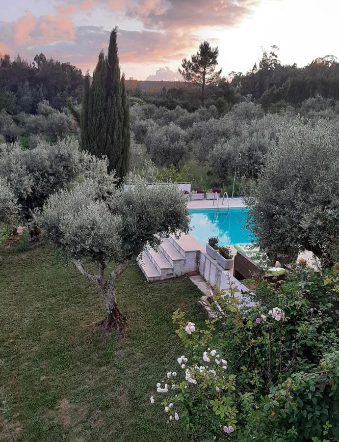 Bed and Breakfast Porturama Mouronho Экстерьер фото